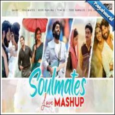 Soulmate Mashup 2024 - Dip Sr Mp3