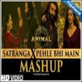 Satranga X Pehle Bhi Main Mashup - Dj Sunny Singh Uk Mp3